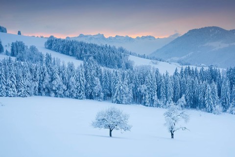 View from Ratenpass with view to the Central Swiss Alps