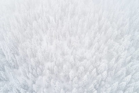 Drone shot