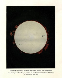 Schematic representation of the sun with spots