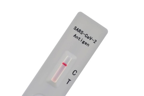 Negative Antigen Rapid Test