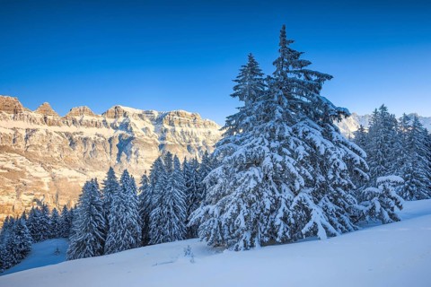 Churfirsten