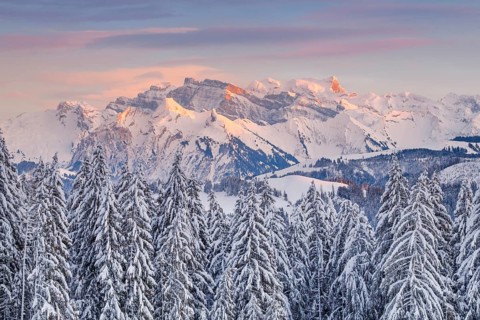 View from Gotschalkenberg with view to Glaernisch in the Schwyzer Alps