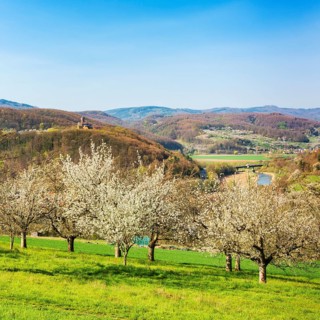 View into the Werratal in spring