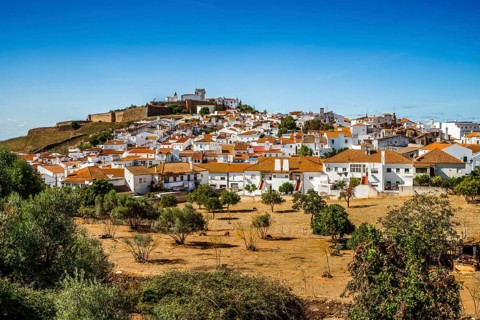 Cityscape of historic town with castle