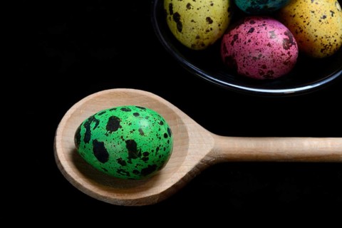 Dyed quail egg in cooking spoon