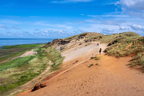 Dunes and beach