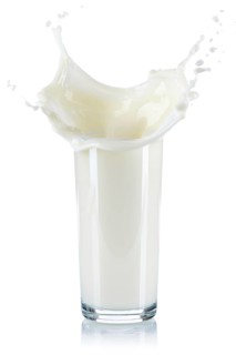 Milk splash splash milk splash glass milk glass cropped cropped isolated against a white background