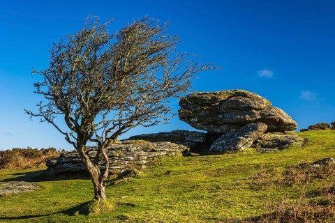 Fields and meadows in Haytor Rocks