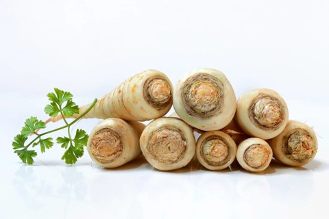 Parsleys root