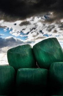 Plastic wrapped bales of straw