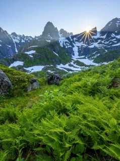 Mountain panorama