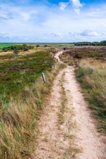 Path through moorland