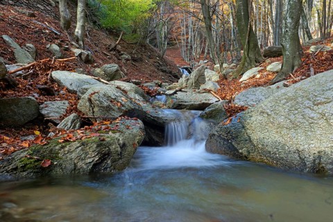 Cascades of a stream in autumn forest on the ascent to Monte Lema
