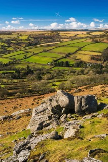 Fields and meadows in Haytor Rocks
