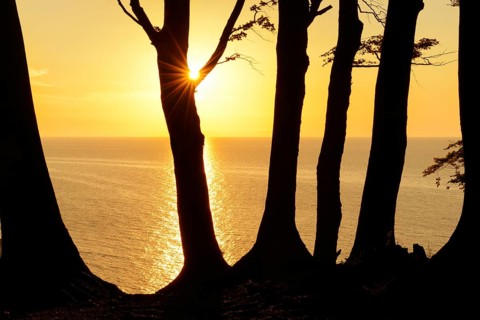 Sunrise at the high shore path above the chalk cliffs