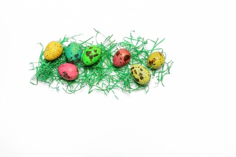 Colored quail eggs with decorative grass
