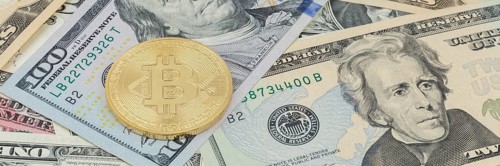 Bitcoin cryptocurrency online pay digital money cryptocurrency US dollar economy finance banner text free space copyspace