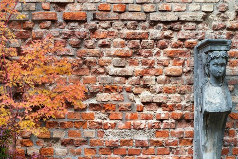 Brick wall with caryatid and fan maple