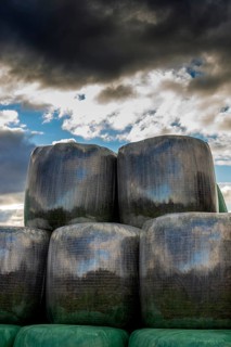 Plastic wrapped bales of straw