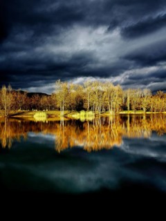 Edge of the river allier