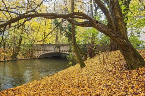 Autumn atmosphere at the Schwabinger Bach in the English Garden