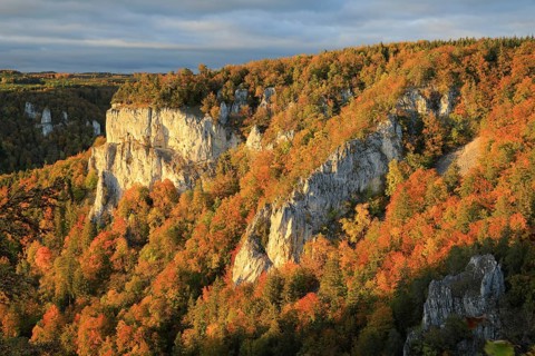 Limestone rock with mixed forest in autumn colours