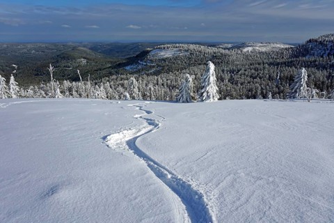 Ski track in deep snow in winter landscape
