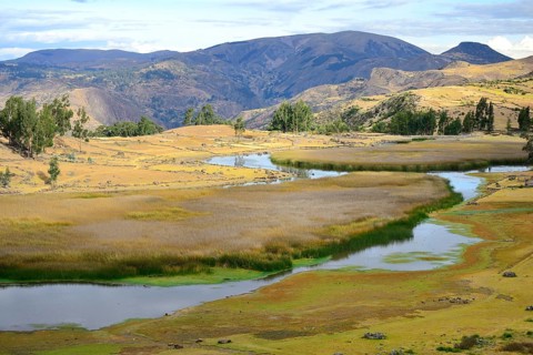 Swampy river landscape at Laguna Pumaqucha