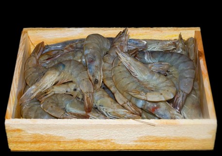 White tiger prawns