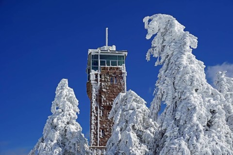 Hornisgrinde tower and snow-covered firs