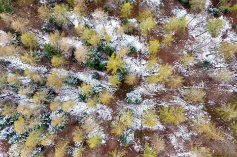 Drone image