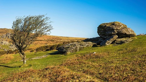 Fields and meadows in Haytor Rocks