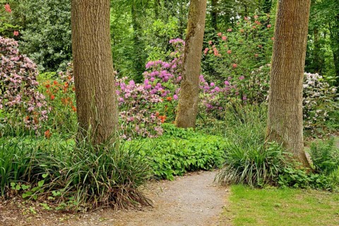 Rhododendron Park Bad Sassendorf