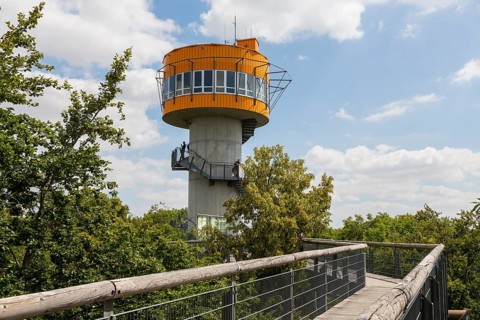 Tower at the treetop path in Hainich National Park