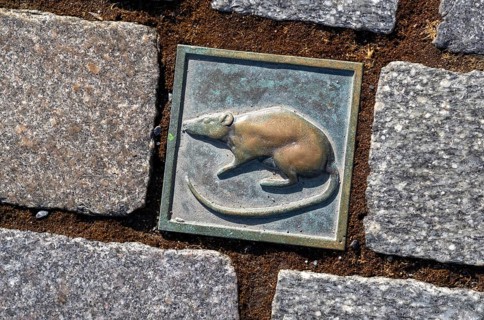 Paving stone with image of a rat