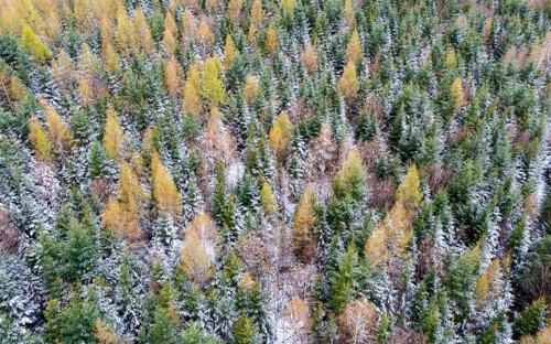 Drone image