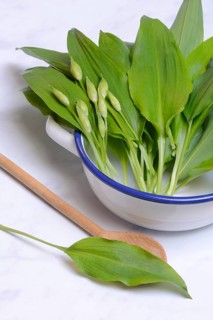 Wild garlic