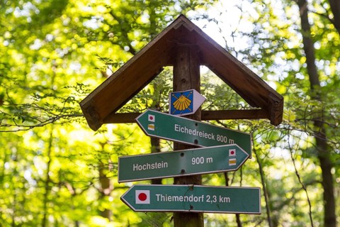 Signpost with pilgrim shell of the Via Regia