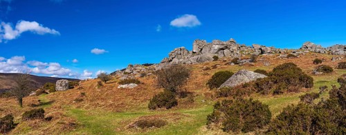 Fields and meadows in Haytor Rocks