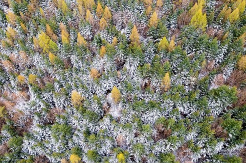 Drone image