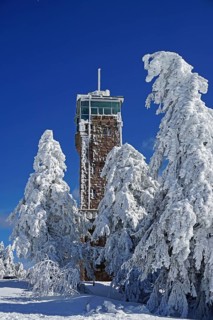 Hornisgrinde tower and snow-covered firs