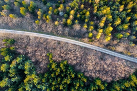 Drone image