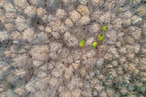 Drone image