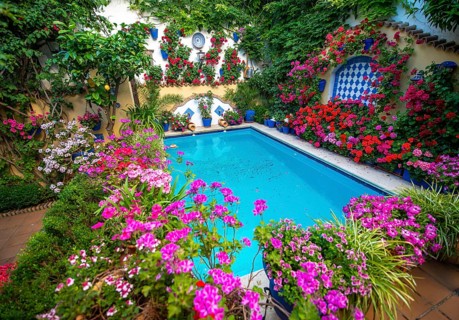 Many red geraniums in flowerpots in the inner courtyard with blue pond