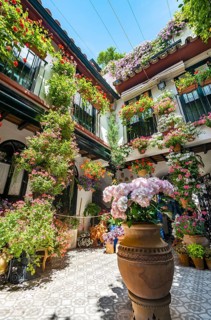 Patio decorated with flowers