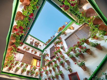 Many red geraniums in flower pots in the courtyard on a house wall