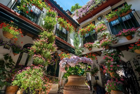 Patio decorated with flowers