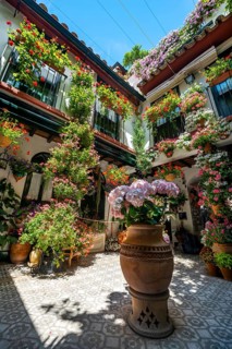 Patio decorated with flowers