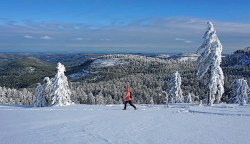 Snowshoe hiker walking through winter landscape