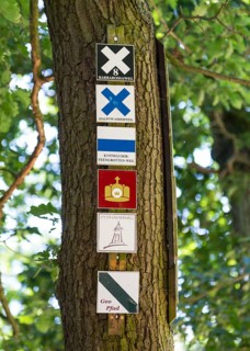 Hiking sign for themed hikes on a tree